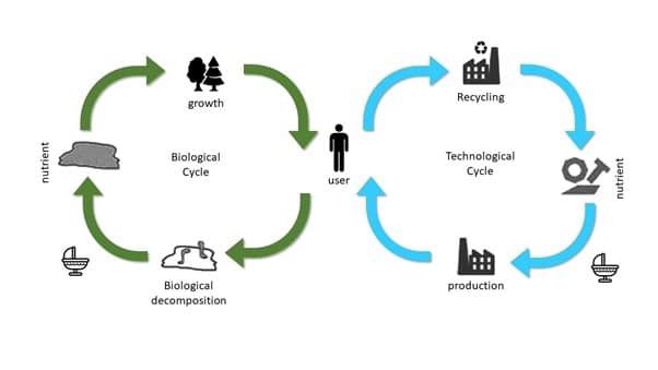 Was ist „Cradle to Cradle“? Beispiel Produktentwicklung PLM